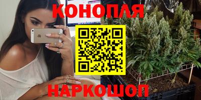 гидра Ливны