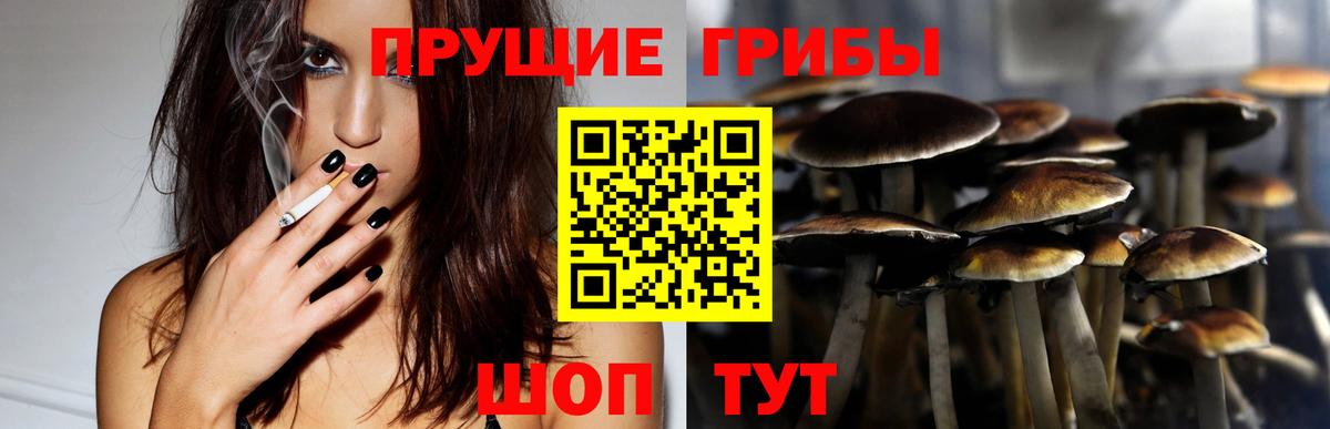 Коломна  Псилоцибиновые грибы прущие грибы  Вход с VPN 